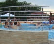 Dekoracije prirodnim kamenom-hotel (20)